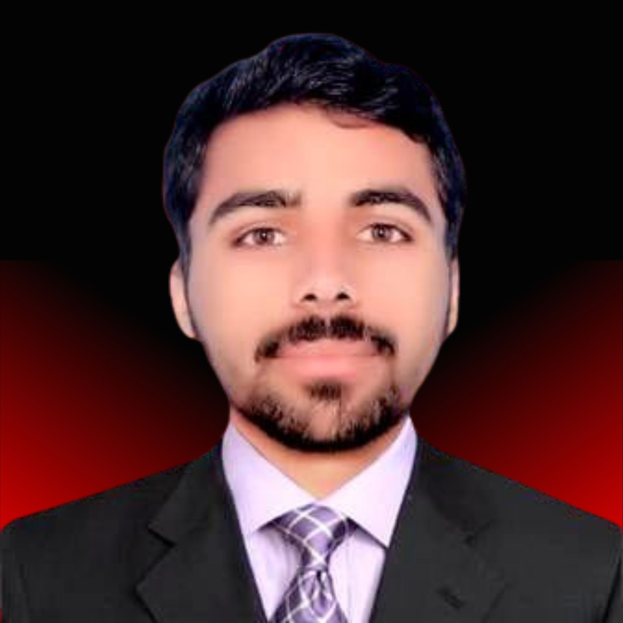 Developer